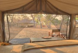Chobe under canvas tent bedroom and view 1280