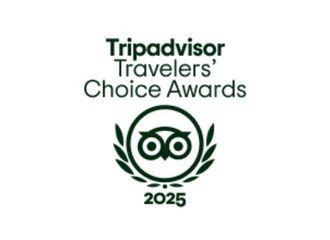 Trip Advisor USA 2025 logo international awards page