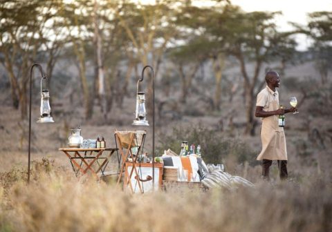 Segera Retreat Lazy Picnics in the bush