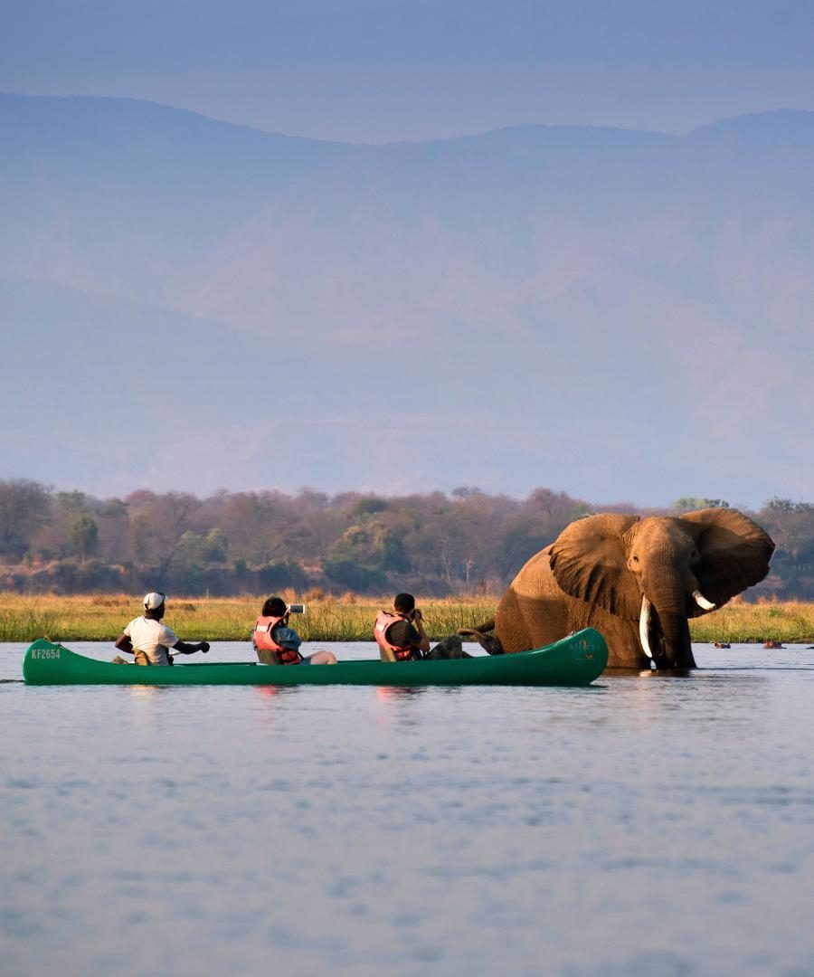 Canoe safari with Zambezi Expeditions Safari Camp in Zimbabwe