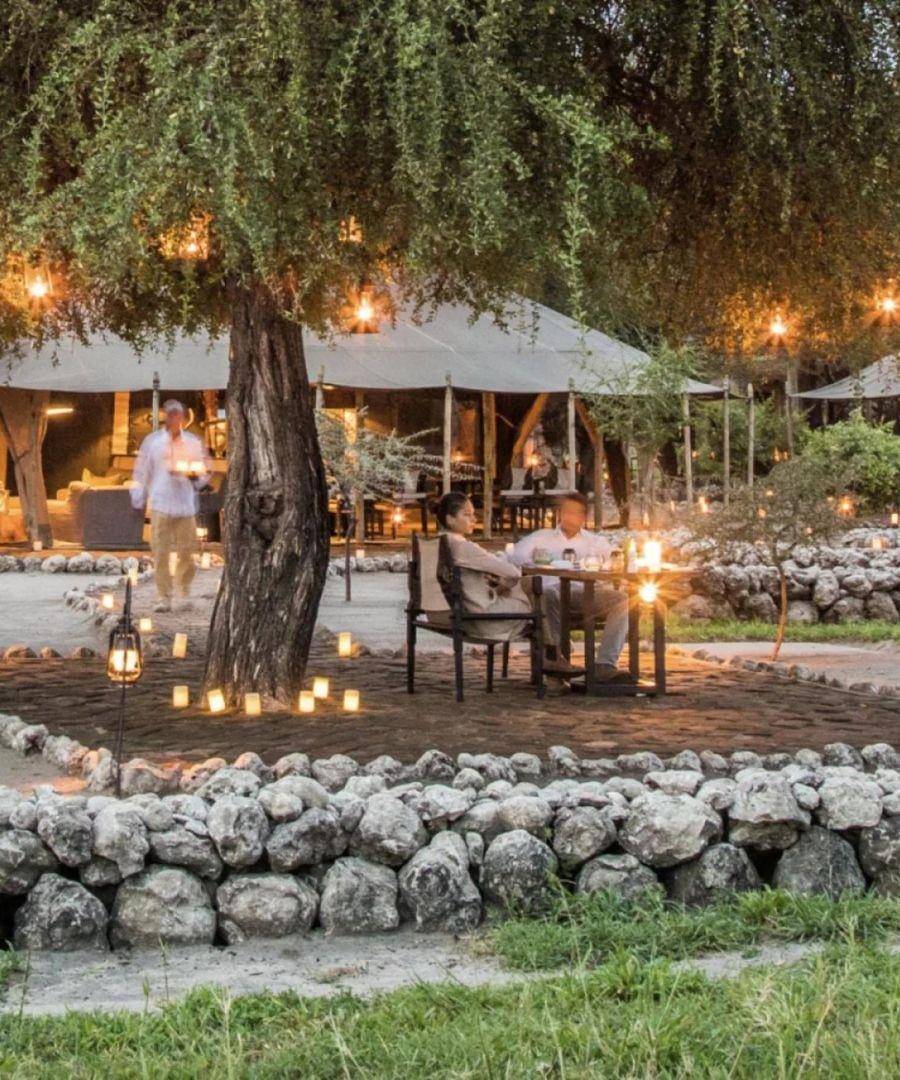 couple sitting under a tree on safari in Tanzania