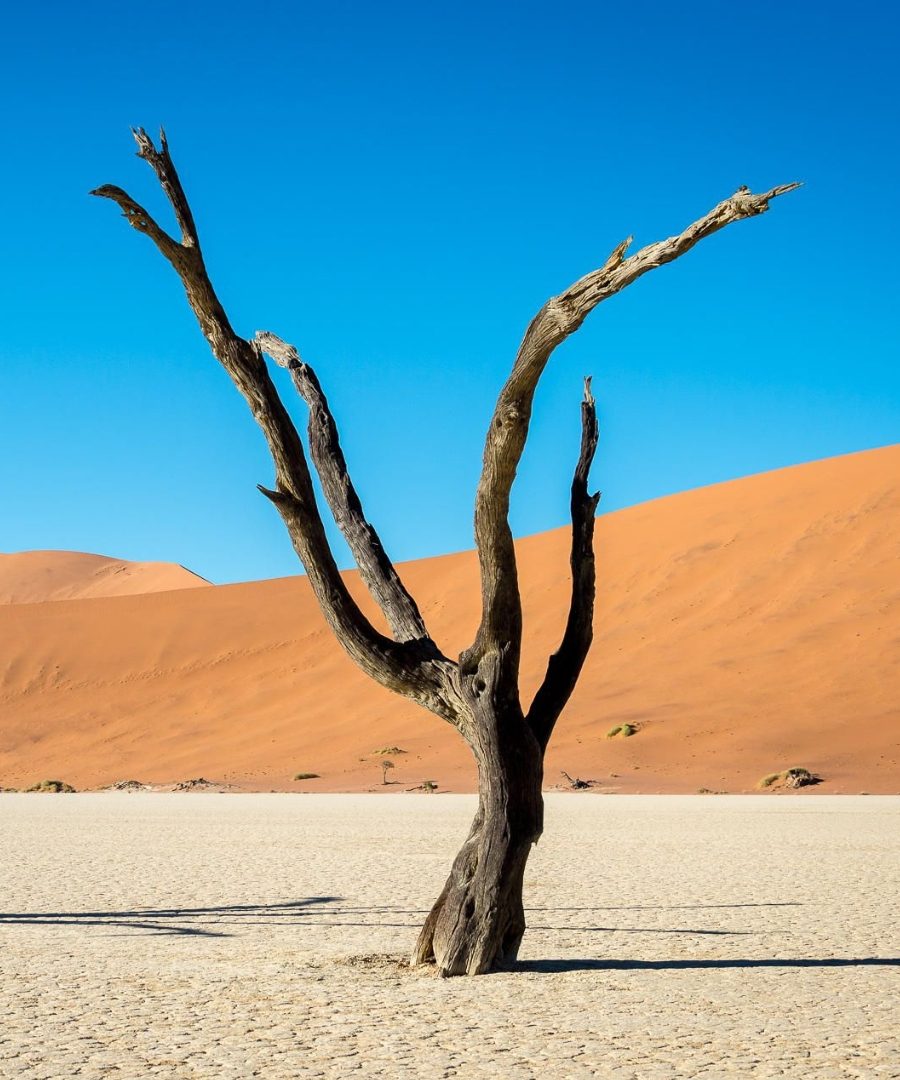Namibia desert