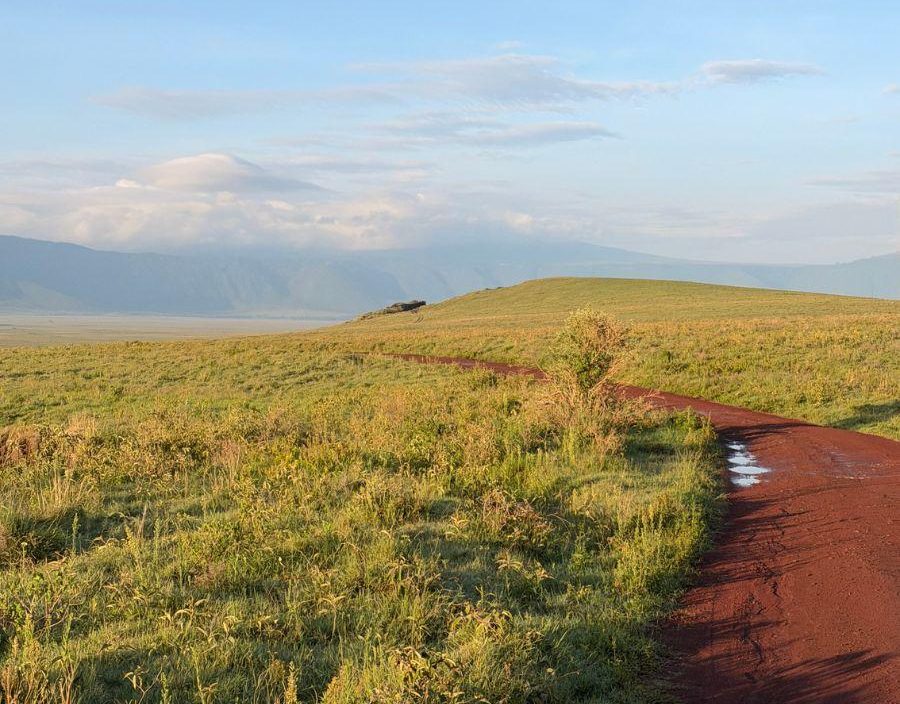 African landscape