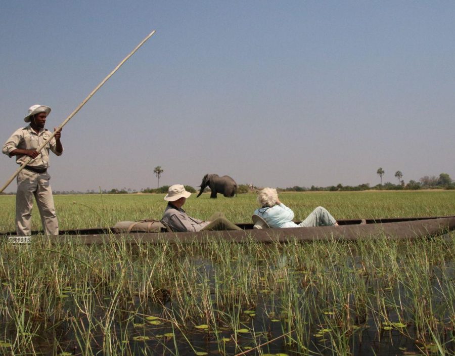 Couple ride in Mokoro while admiring an elephant in background