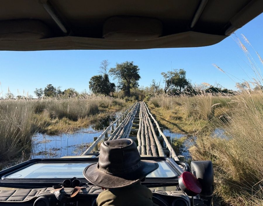 man on safari vehicle in okavango delt
