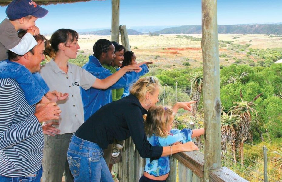 Riverdene Safari Family View