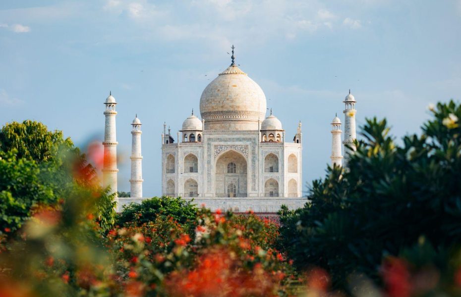 Taj Mahal view from behind folliage