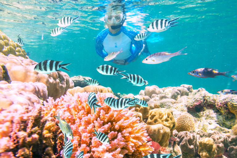 Scuba diving during a conservation blue safari holiday