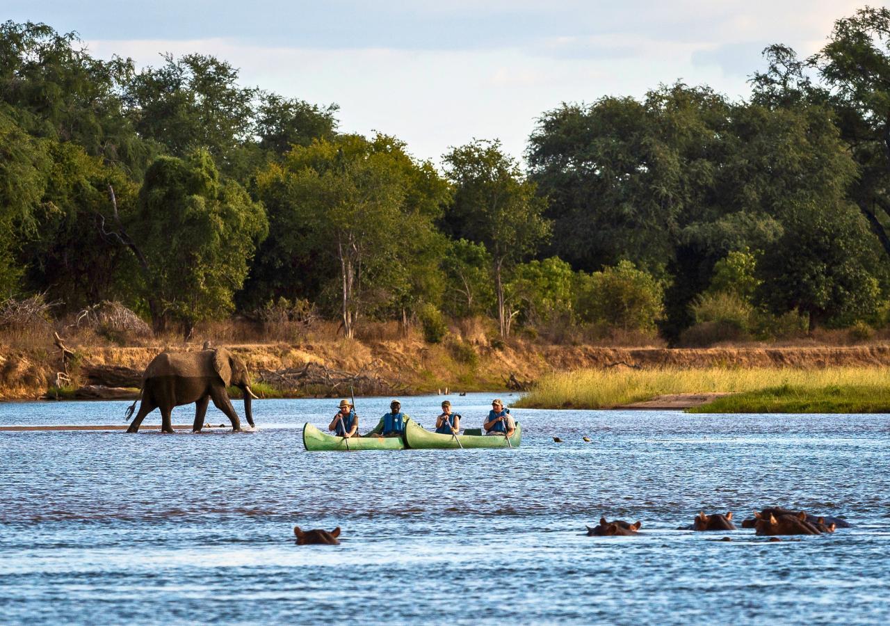 canoe safari in Zimbabwe