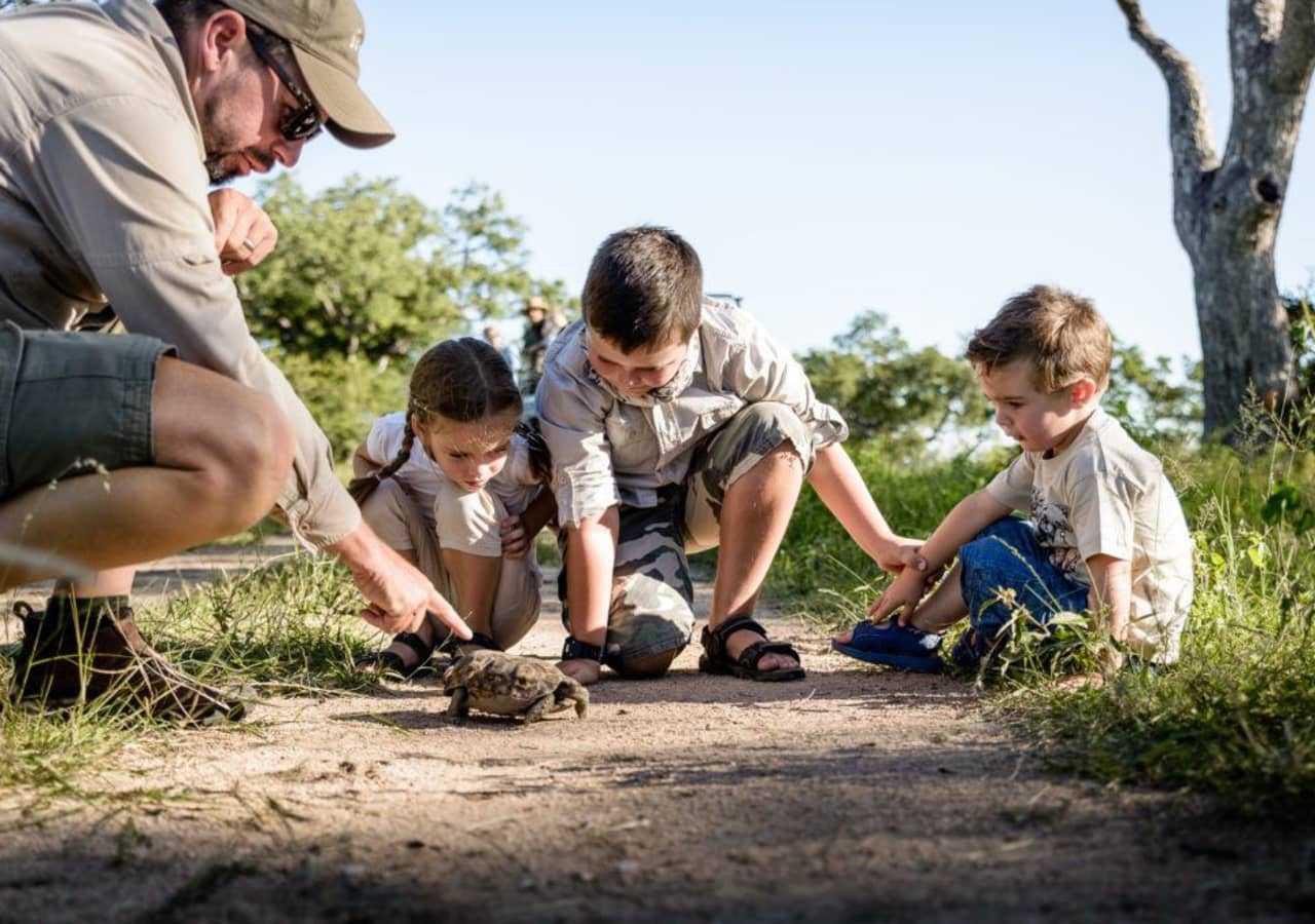 children observing a tortoise on safari