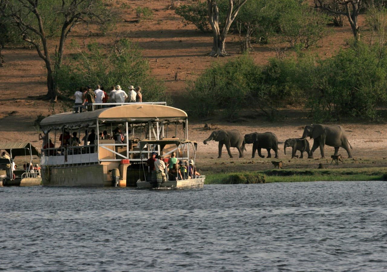 Chobe bush lodge boat cruise on the chobe river 1280