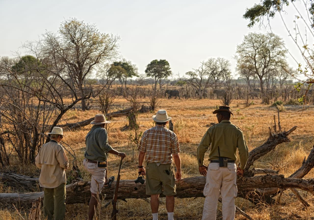 Linyanti bush camp walking safari in linyanti 1280