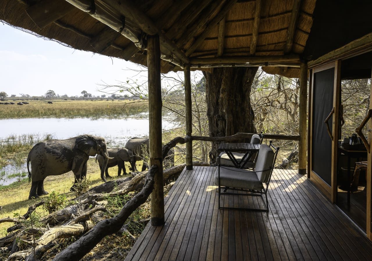 Savuti camp spotting elephants from the verandah 1280