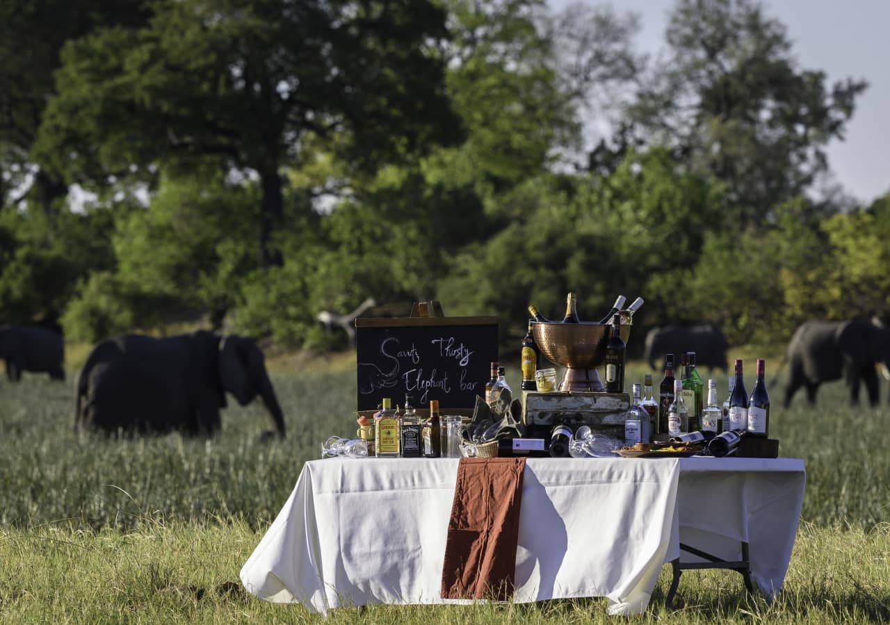 Savuti camp sundowners with the elephants 1280