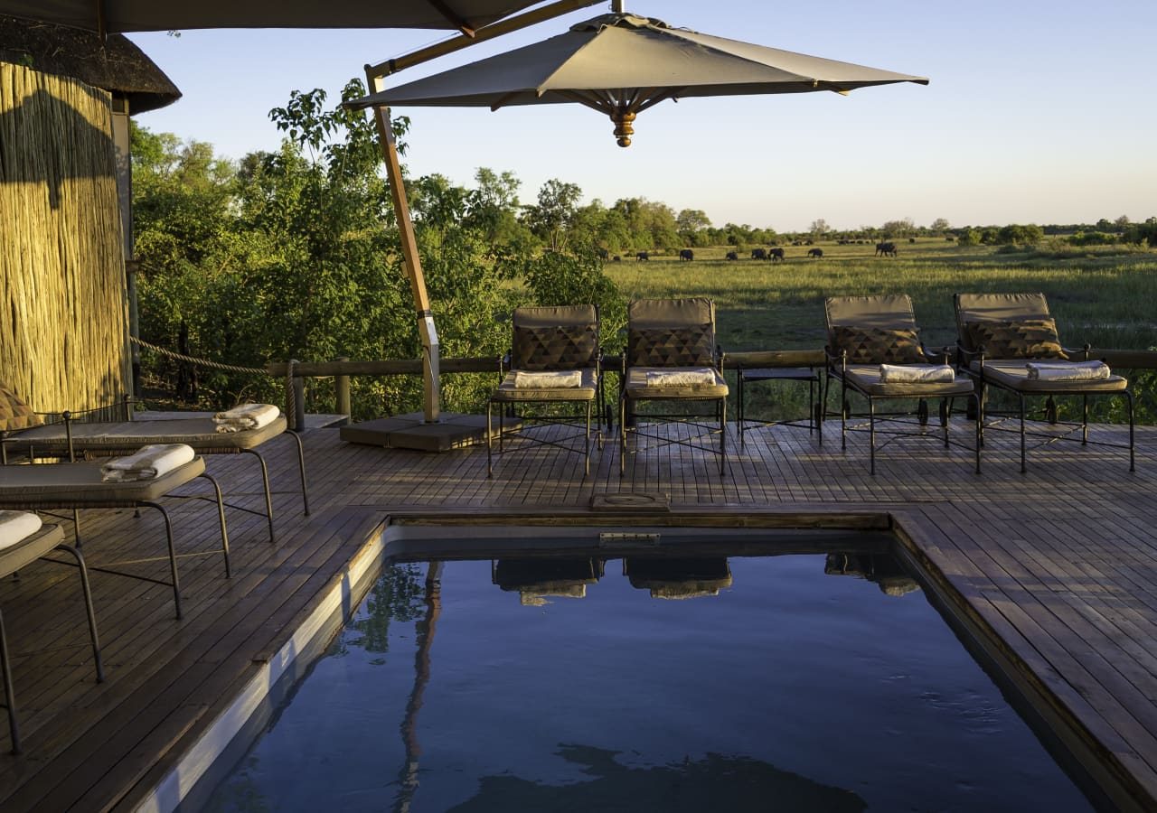 Savuti camp swimming pool 1280