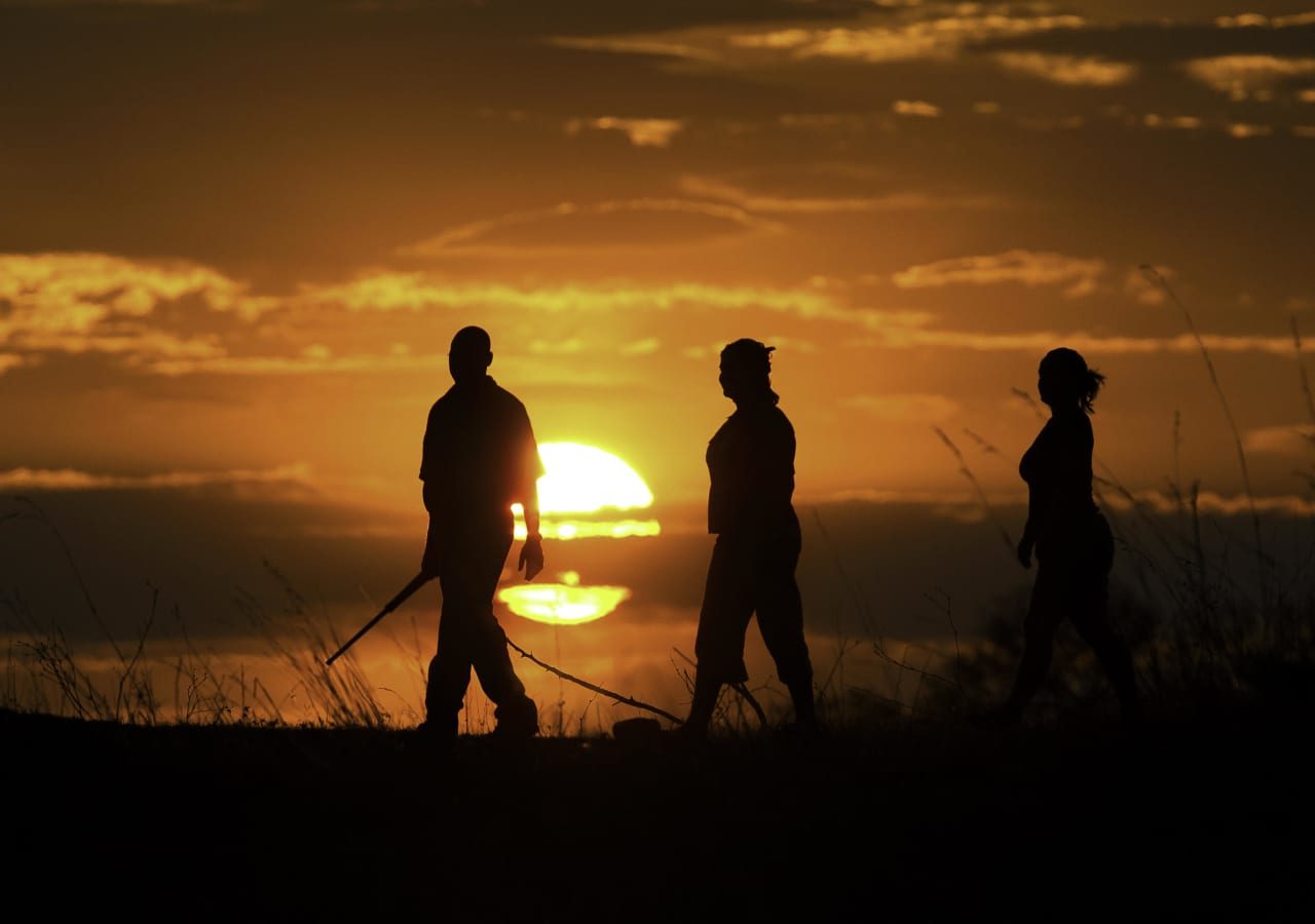 Selinda camp bush walk experience 1280