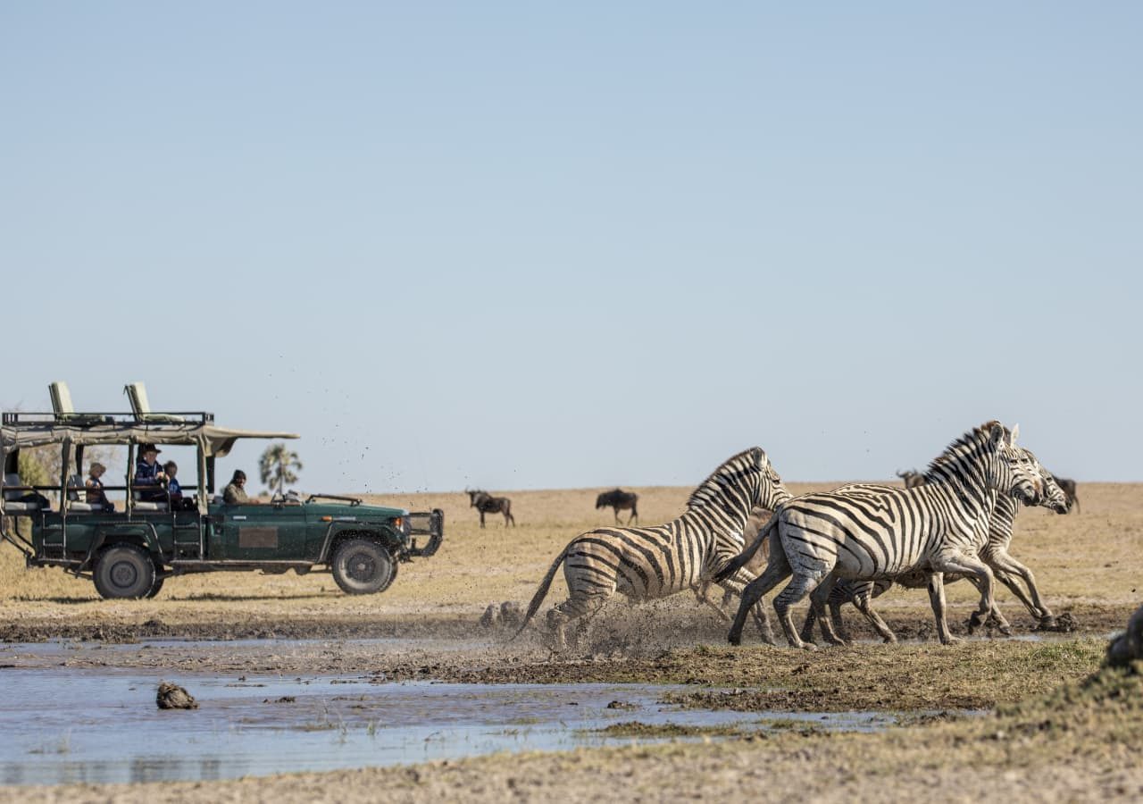 Camp kalahari game drive with zebras 1280