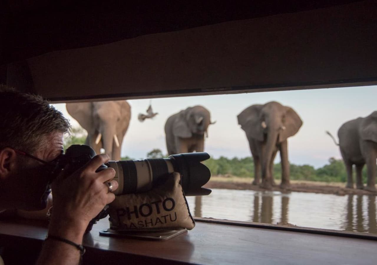 Mashatu tent camp elephants at the photographic hide 1280