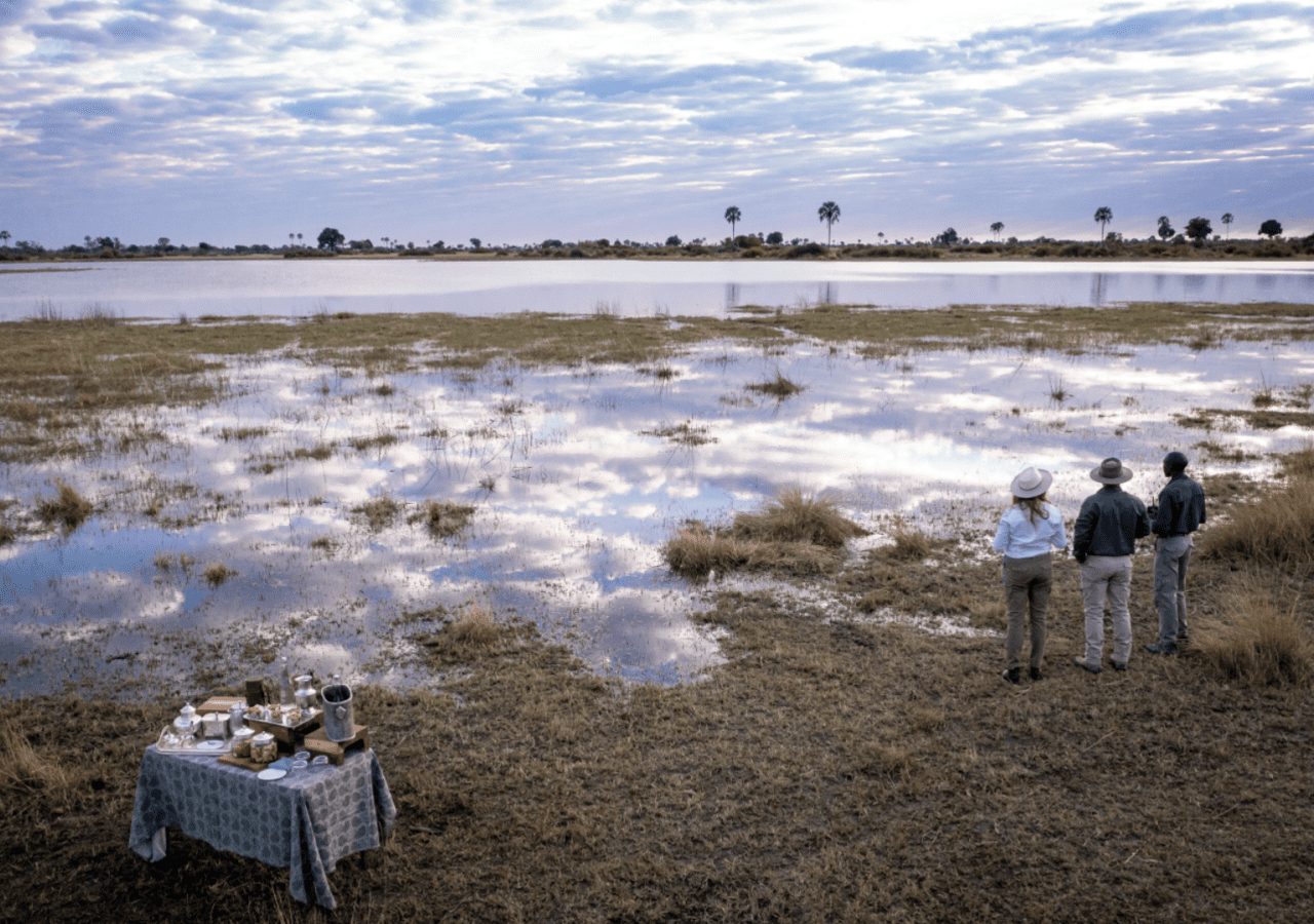 Abu camp safari stop overlooking the okavango delta 1280