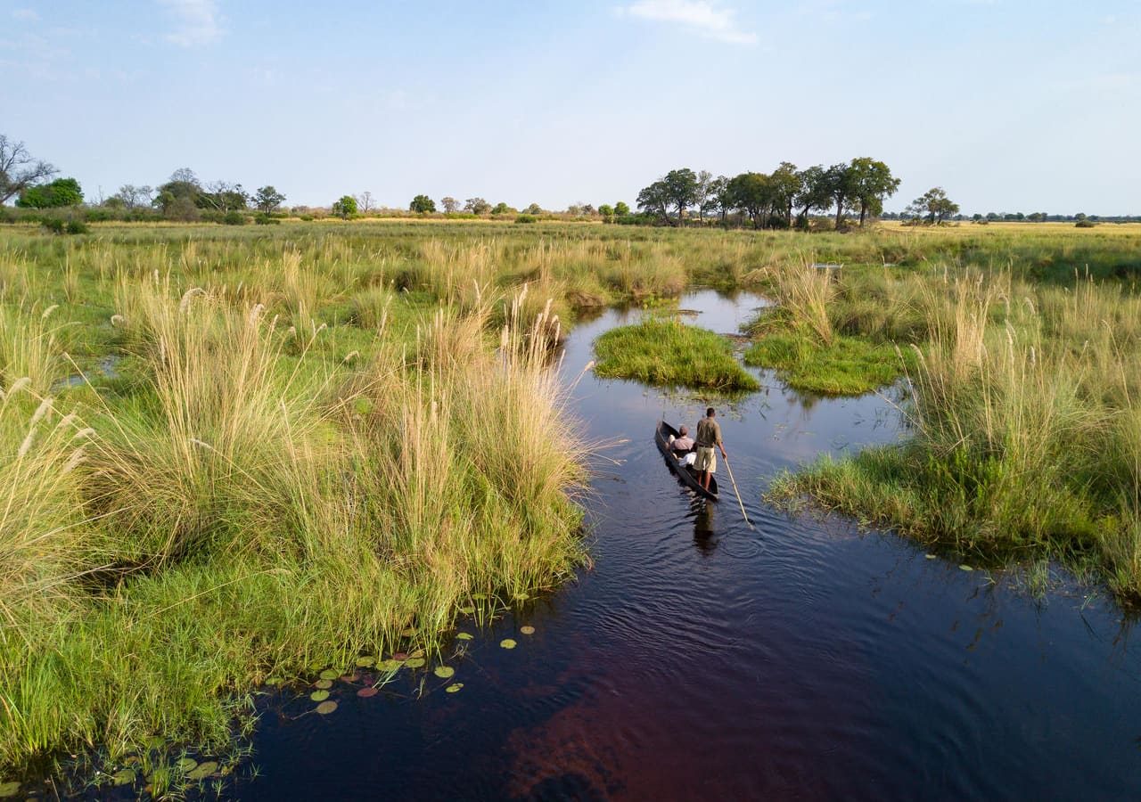 Duba explorers camp traditional mokoro ride in the okavango delta 1280