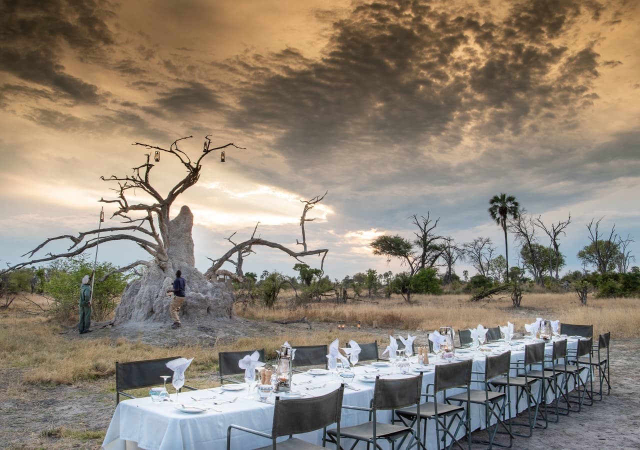 Gomoti plains camp bush dining experience 1280