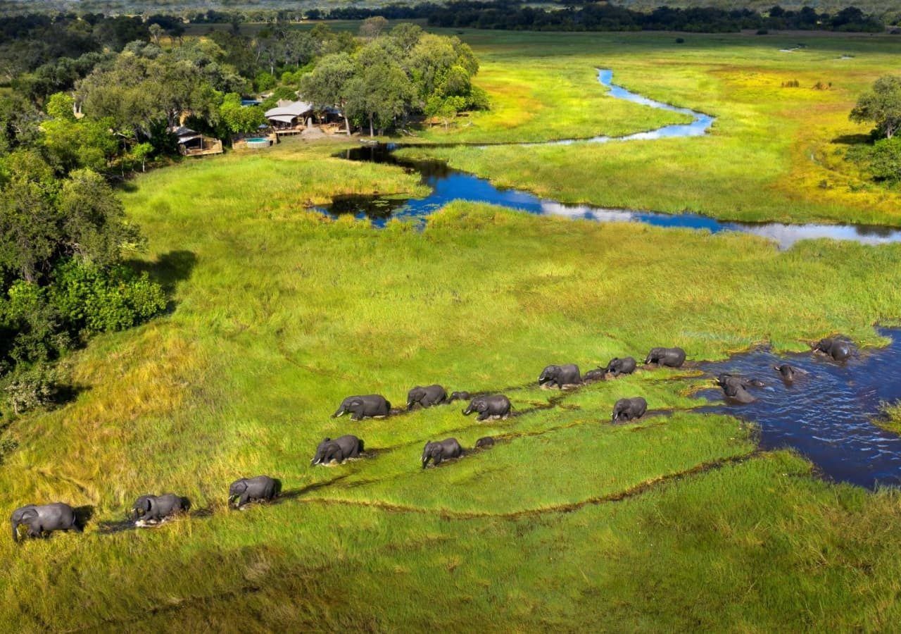 Khwai leadwood camp camp landscape with elephants crossing 1280