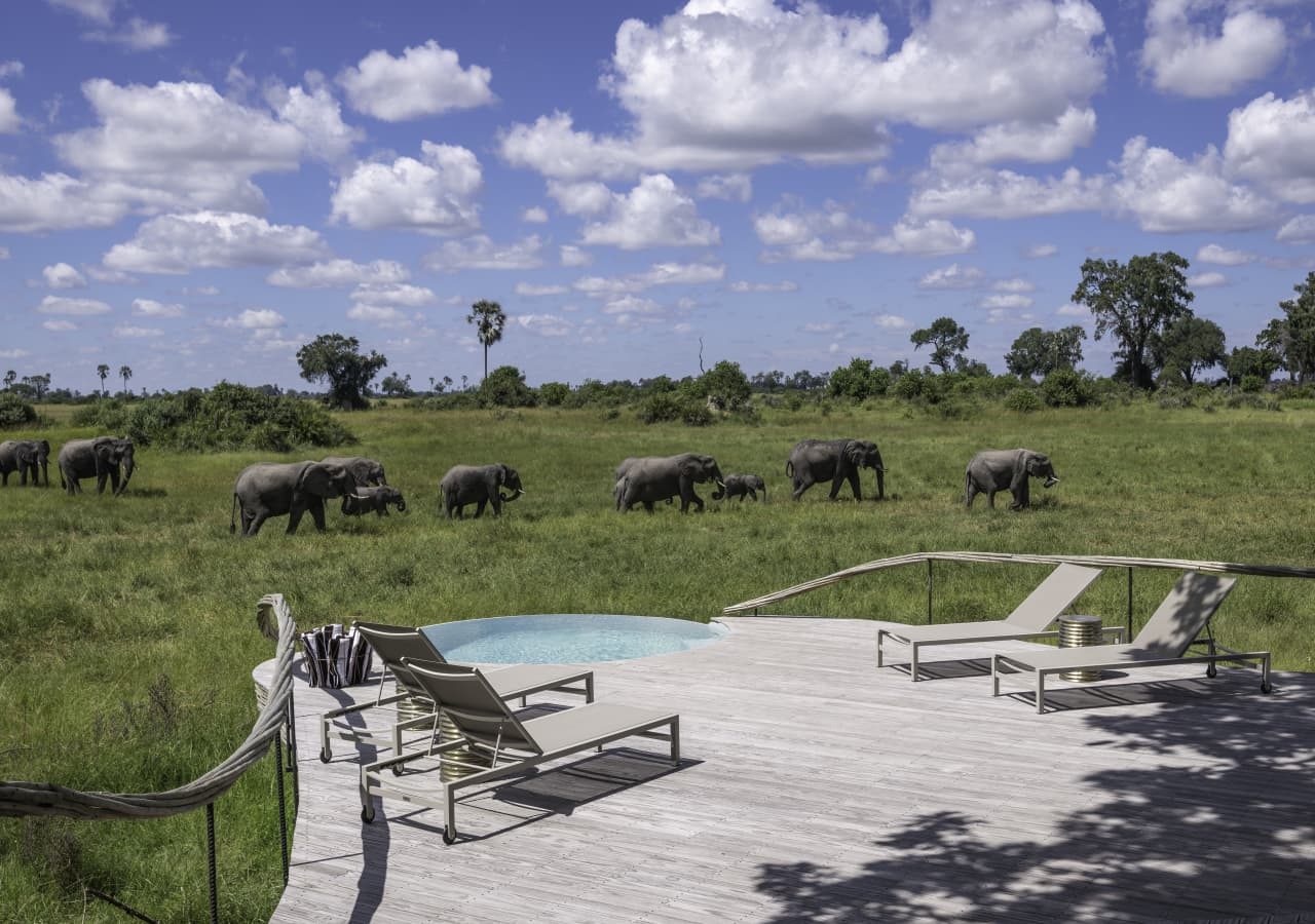 Little mombo camp elephants passing the pool 1280