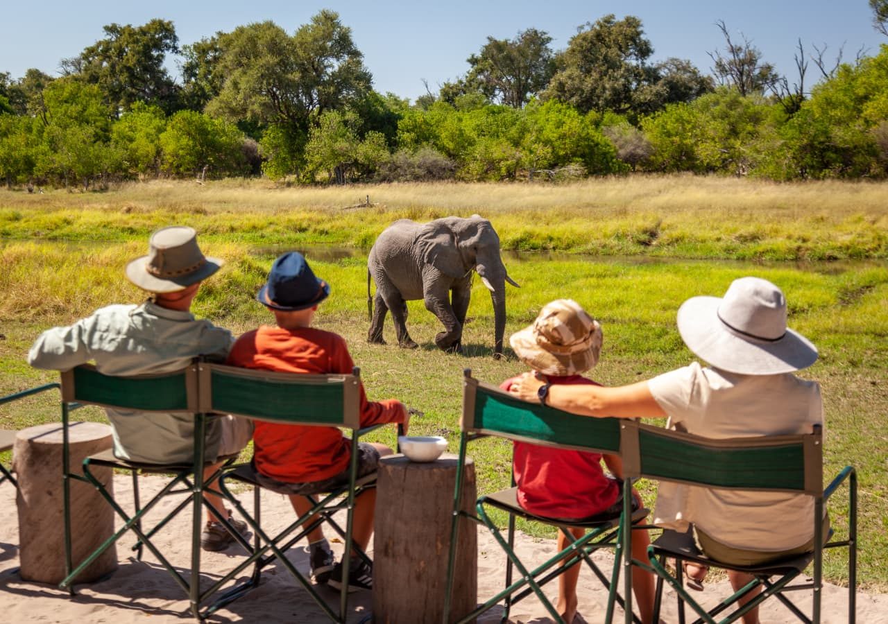 Machaba camp elephant spotting from camp 1280