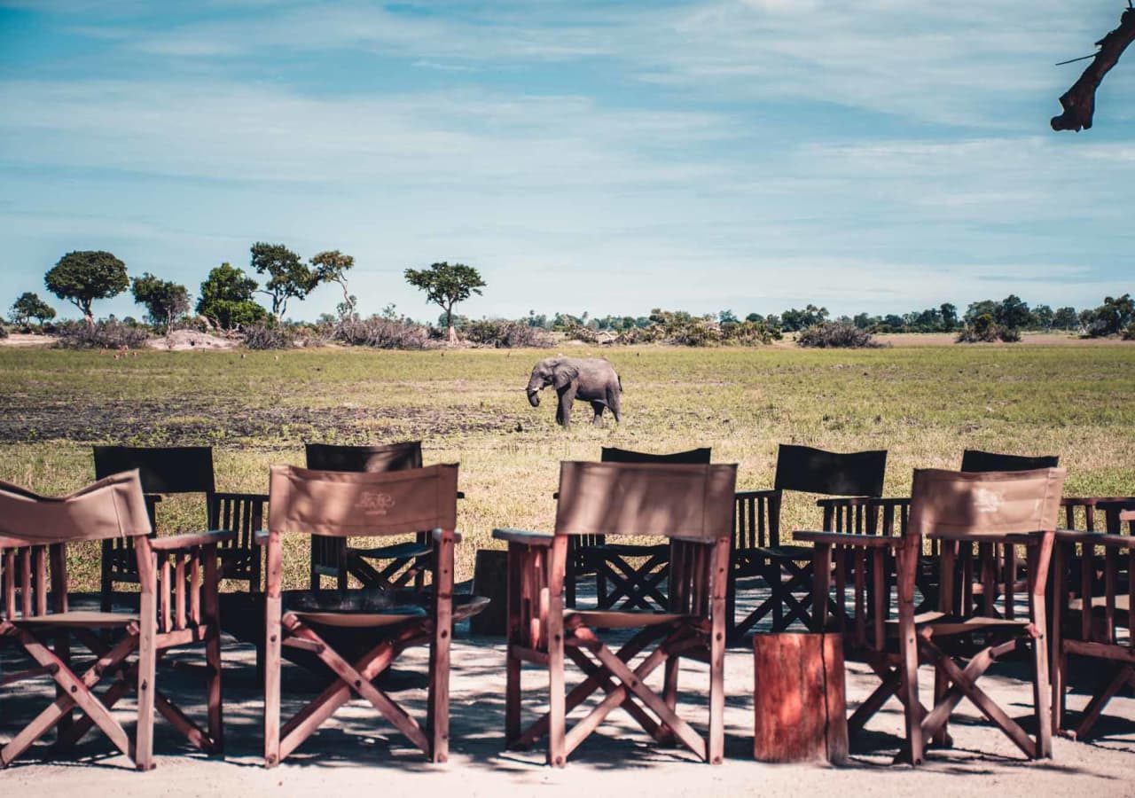 Pom pom camp elephant sighting at camp 1280