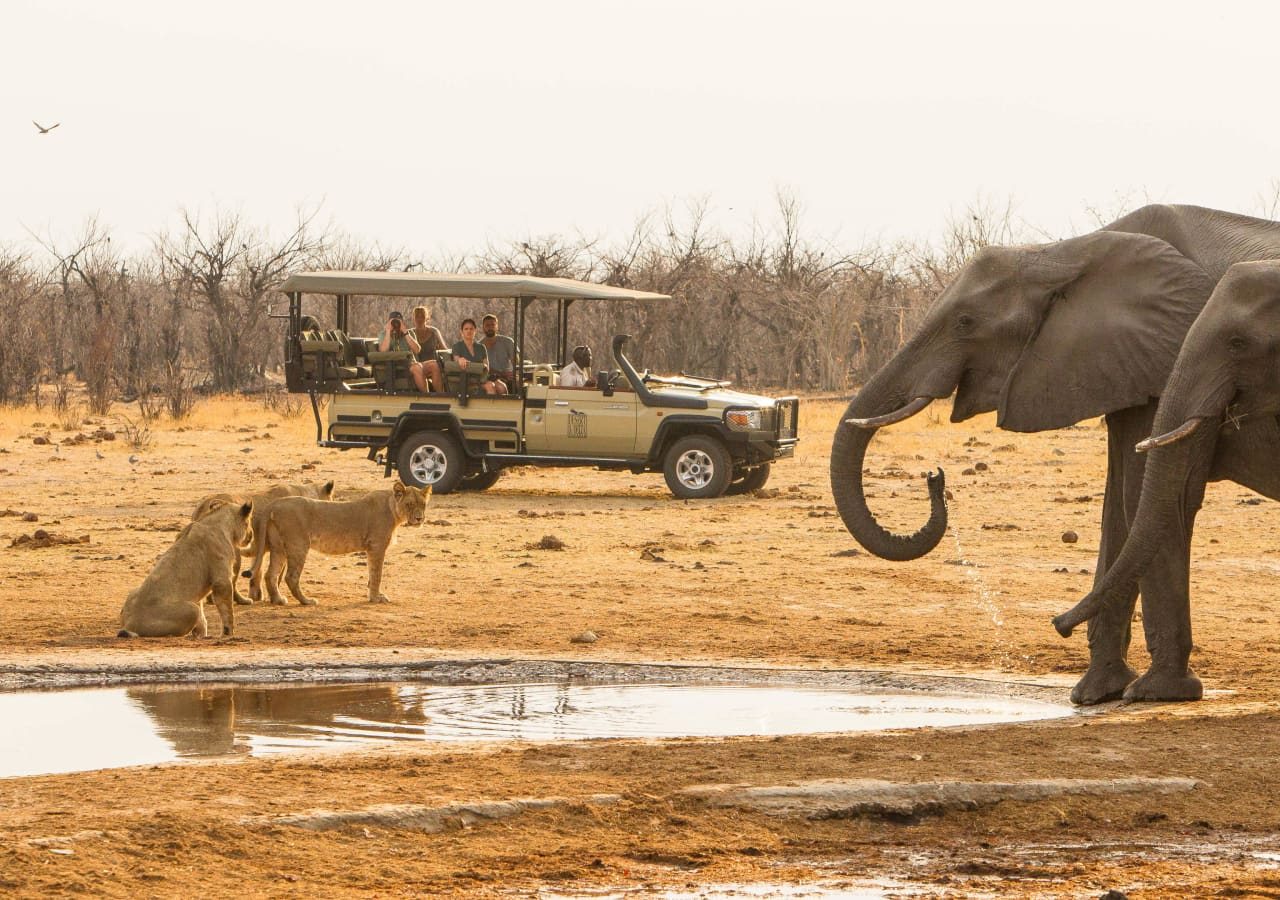 Savute safari lodge savute game drive with elephant 1280