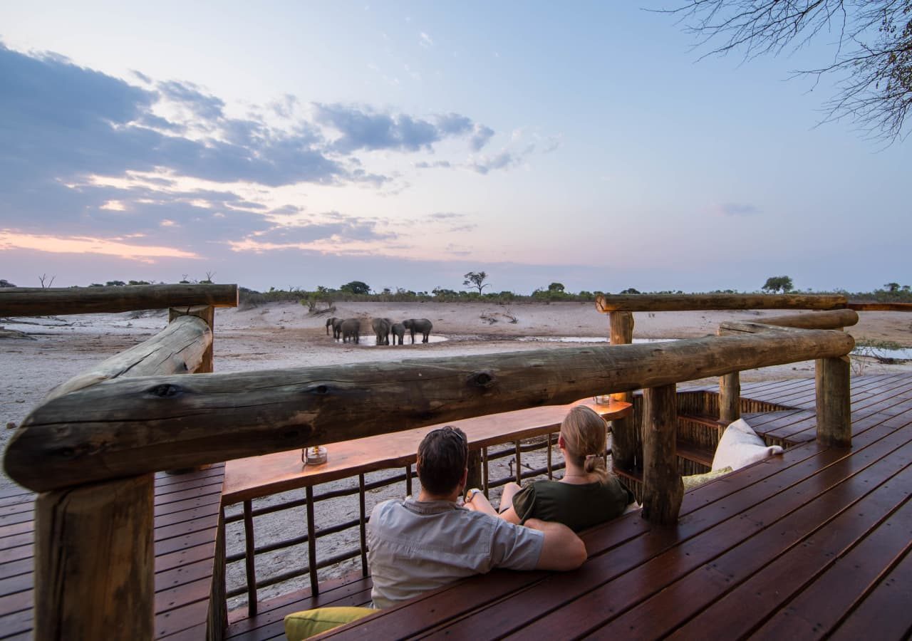 Savute safari lodge sunken viewing bench 1280