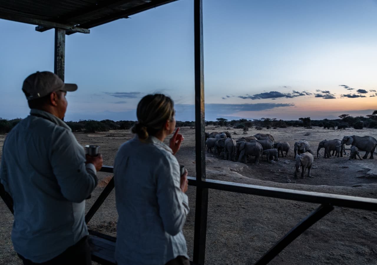 Porini amboseli camp elephant game viewing 1280