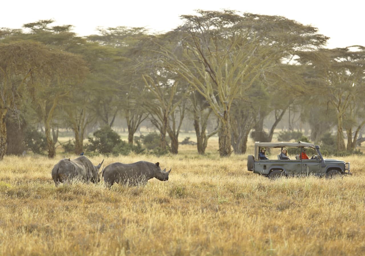 Elewana kifaru house rhino game drive 1280