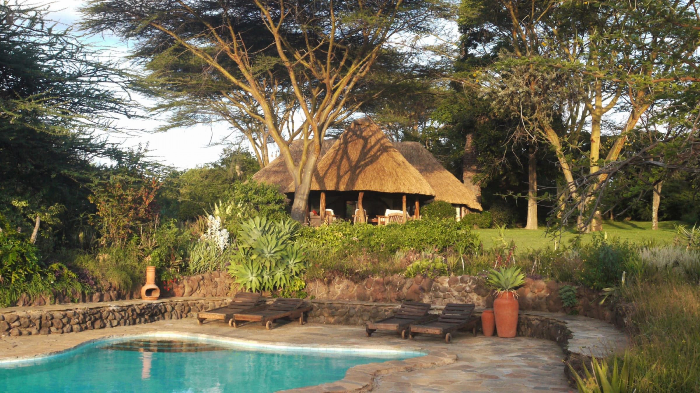 Lewa house lewa house swimming pool 2400