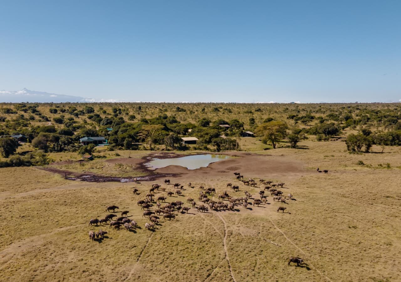 Porini rhino camp aerial view of the camp 1280