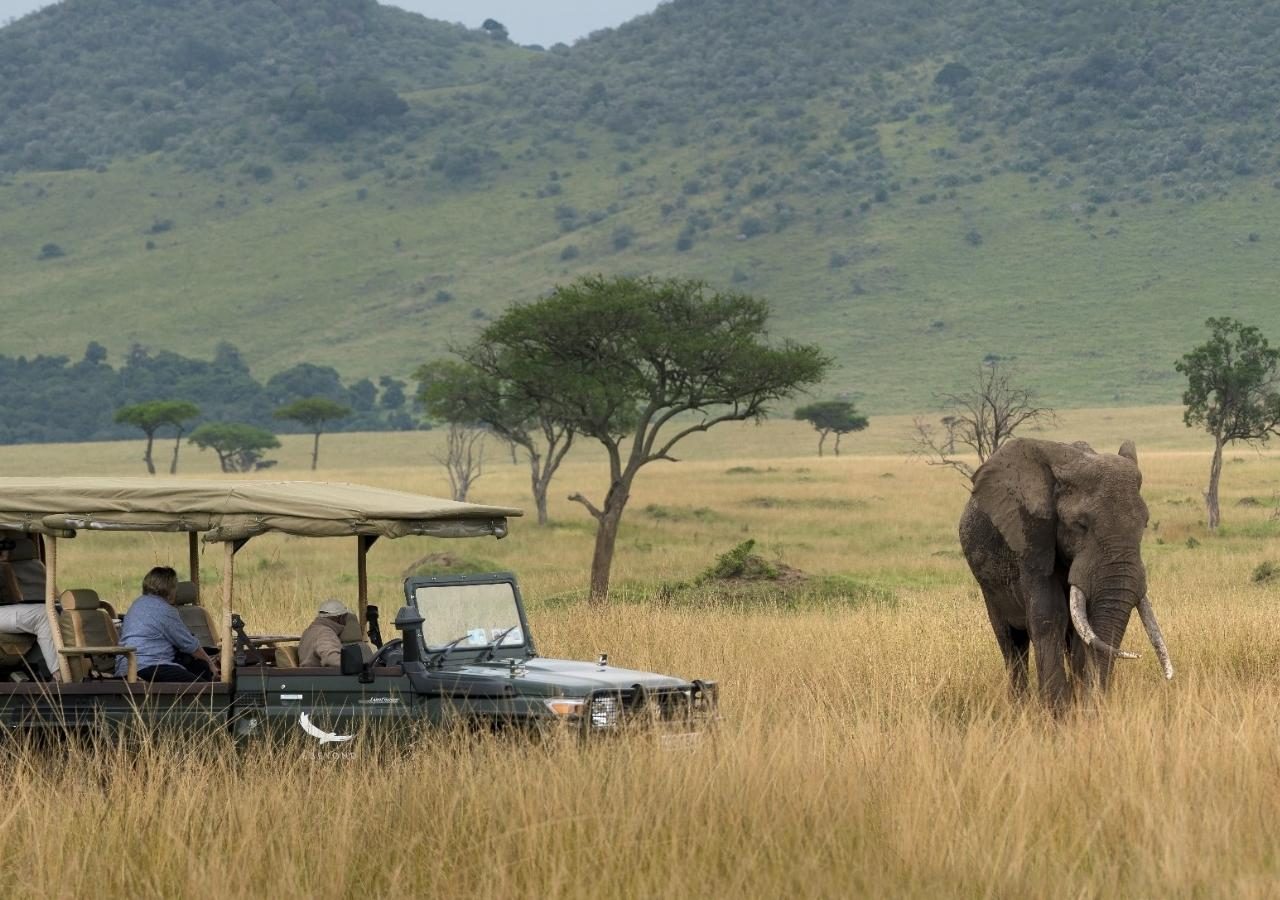 Bateleur camp elephant game drive 1280