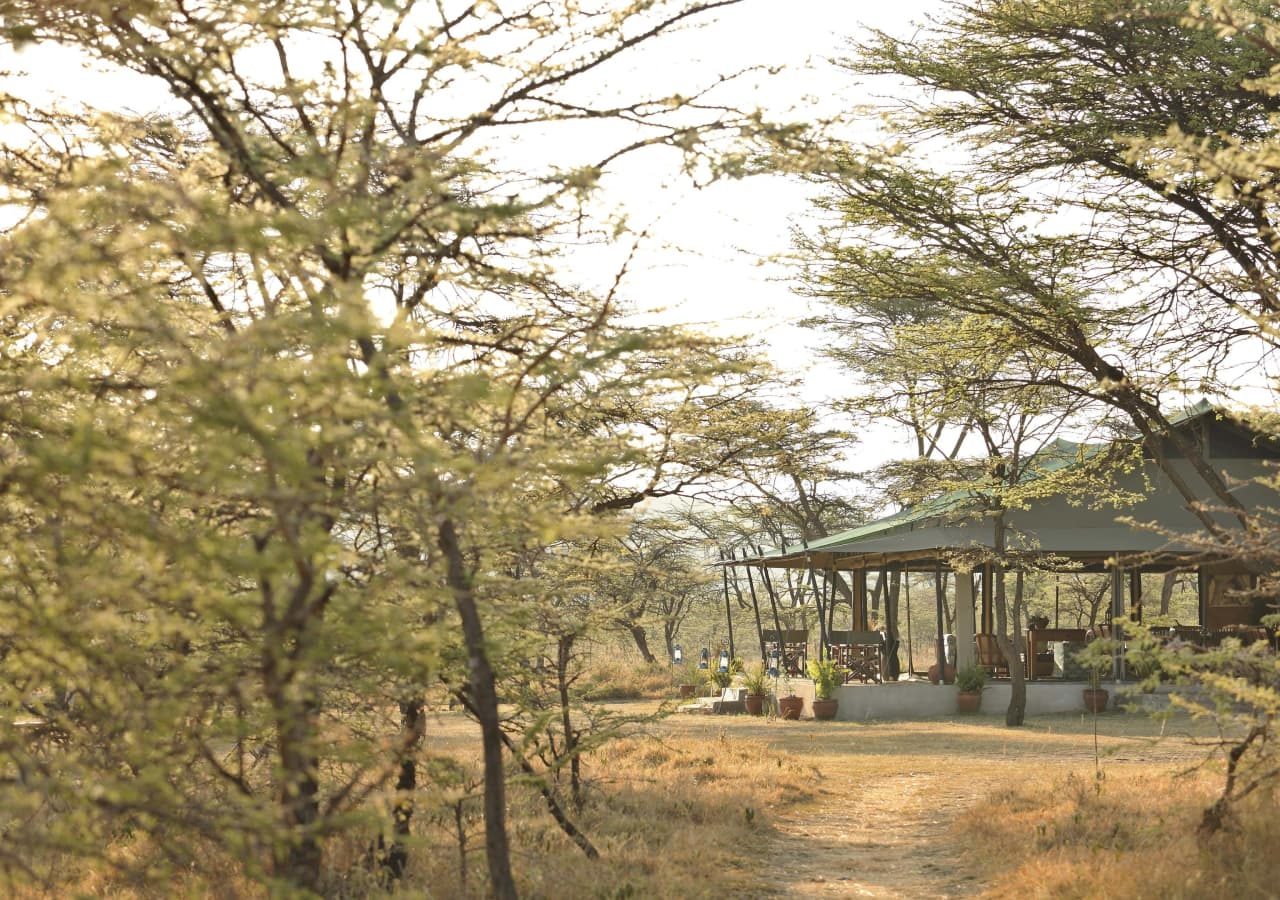 Kicheche bush camp tent exterior and setting 1280