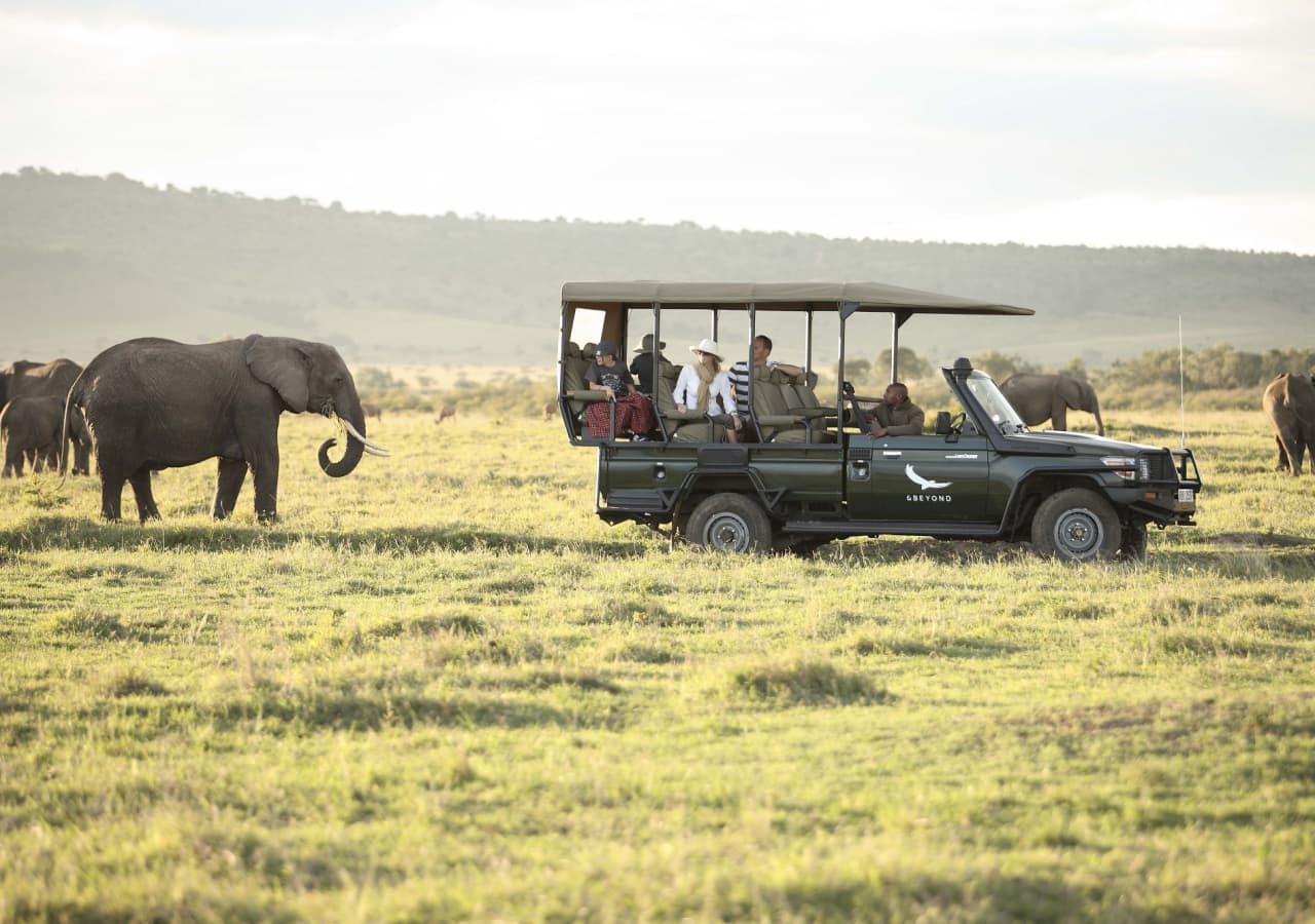 Kichwa tembo tented camp elephant spotted on game drive 1280