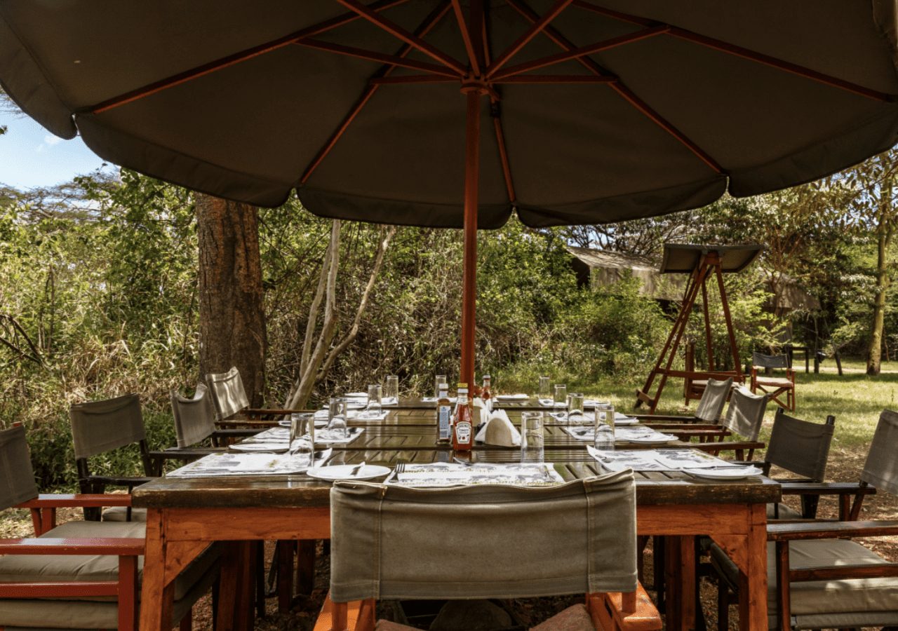 Porini mara camp outdoor dining 1280