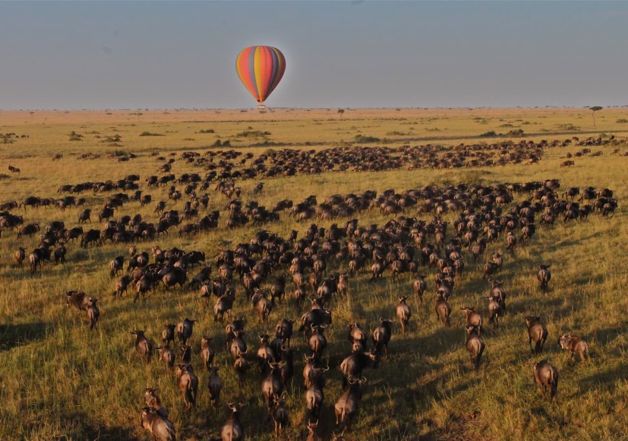 Saruni mara hot air balloon over the migration 1280