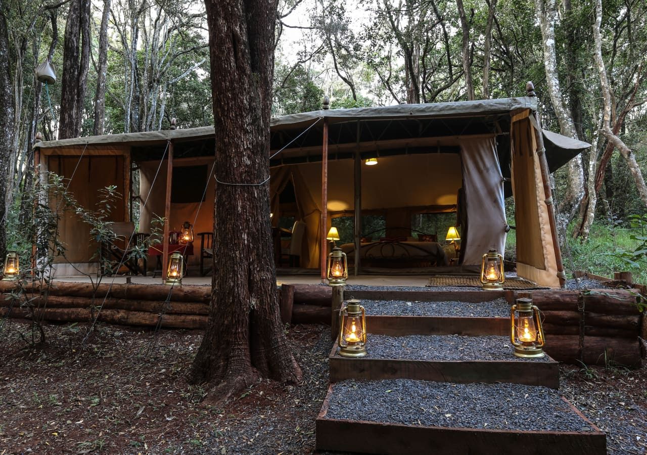 Nairobi tented camp steps leading to tented accommodation 1280