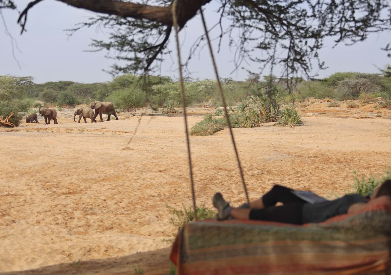 Saruni rhino watering hole view from the tree bed 1280