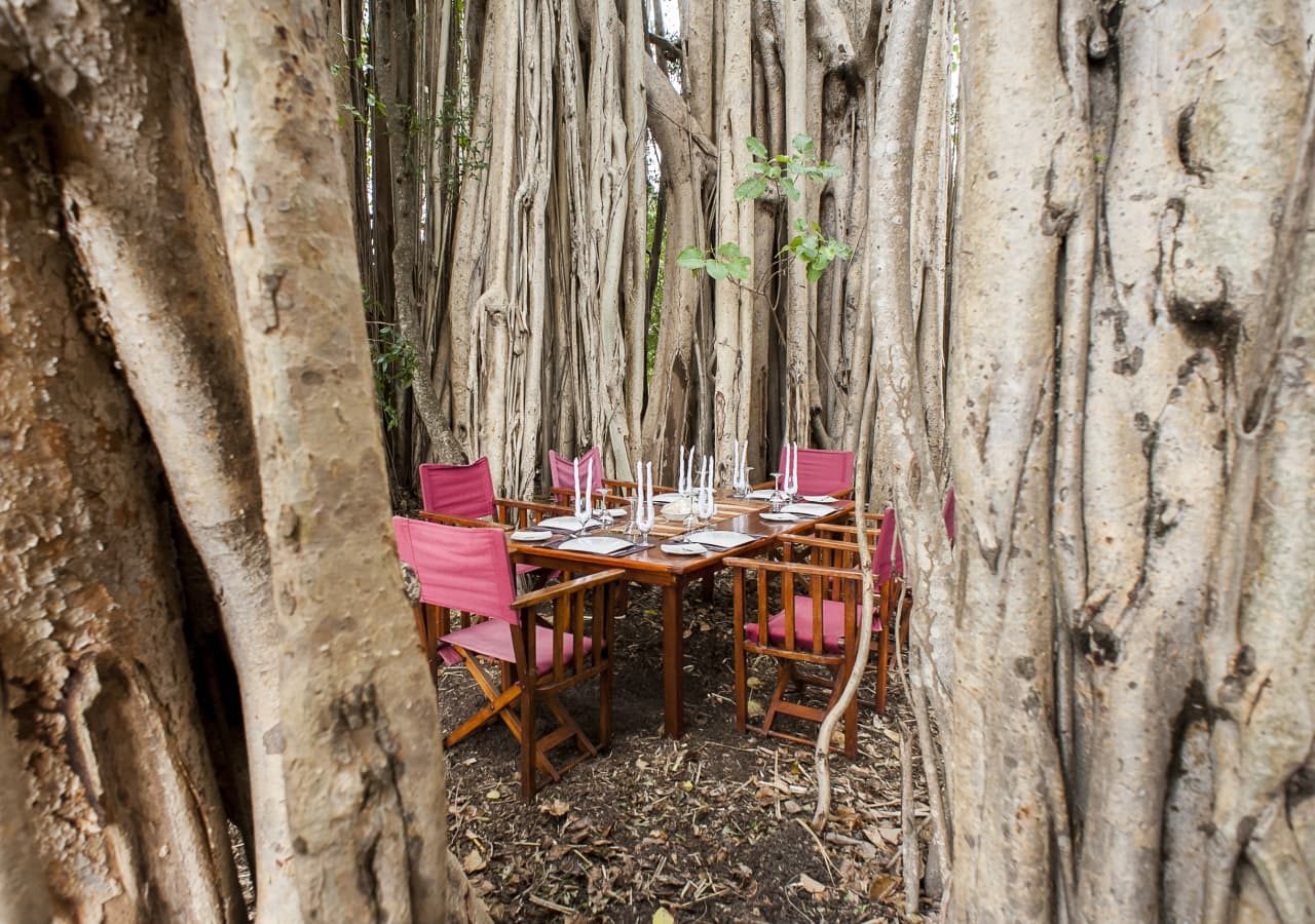 Mandrare river camp outdoor dining among the trees 1280