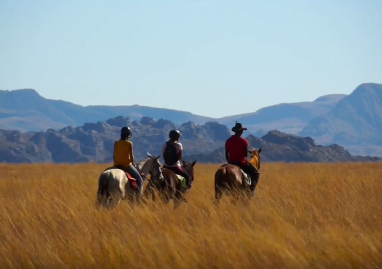 Le jardin du roy horseback riding experience 1280