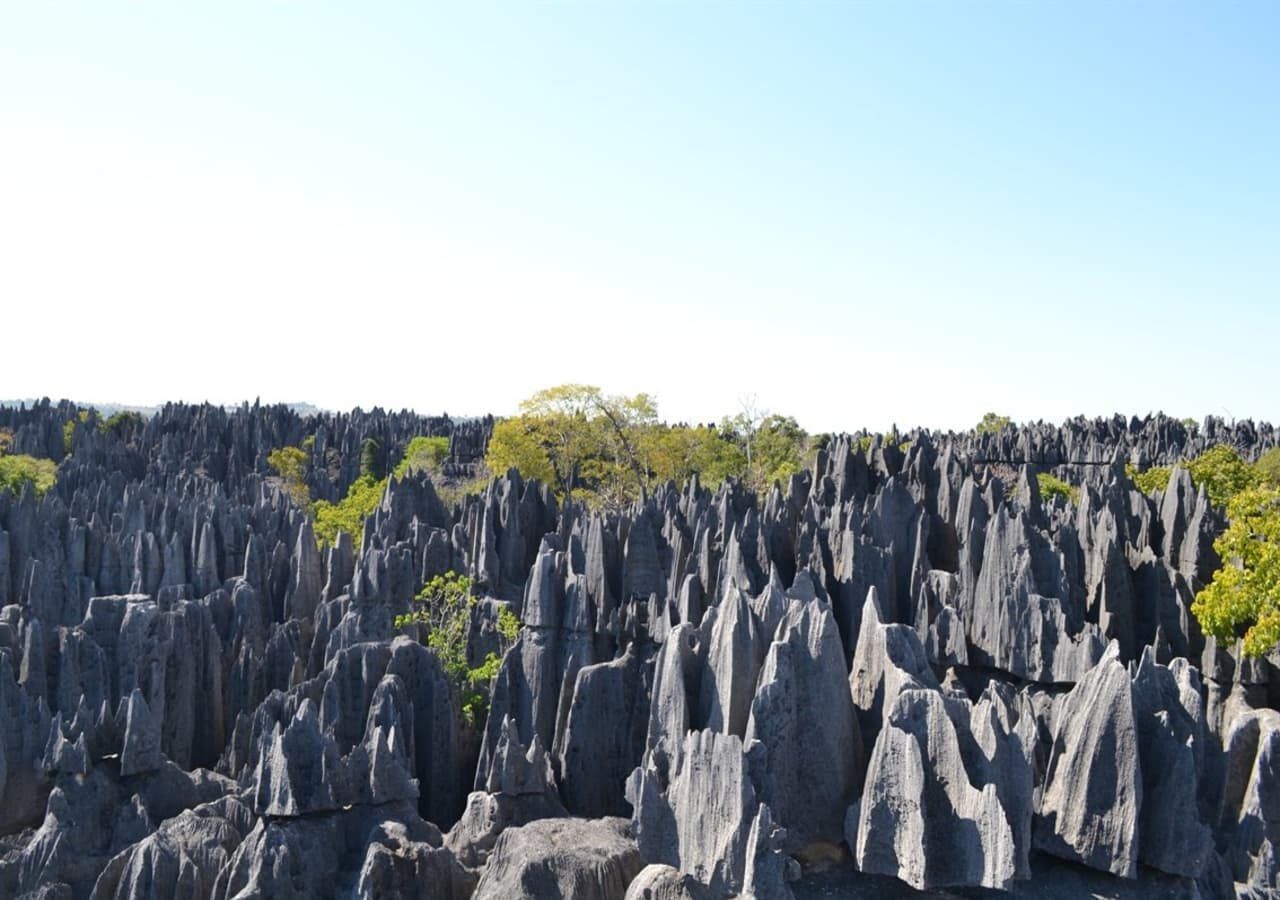 Le soleil des tsingy tsingy de bemaraha national park 1280