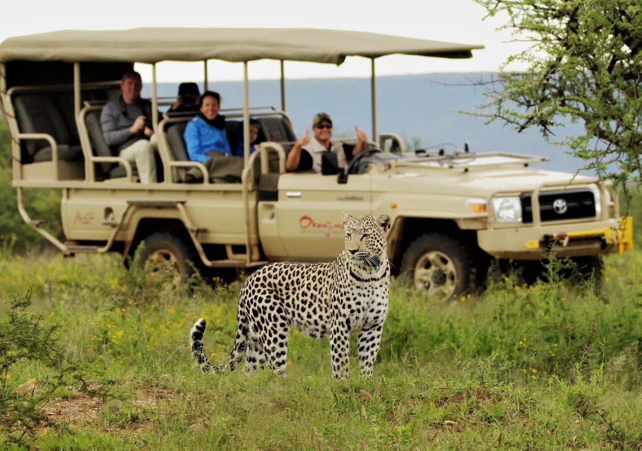 Okonjima plains camp safari game drive 1280