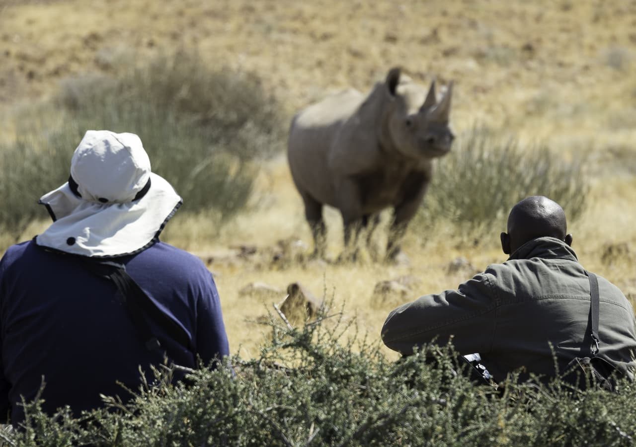 Desert rhino camp rhino tracking 1280