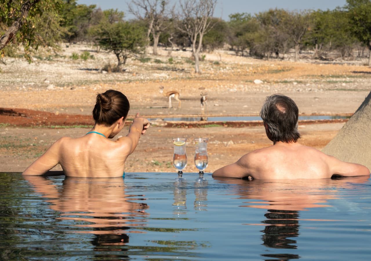 Anderssons at ongava game viewing from the pool 1280