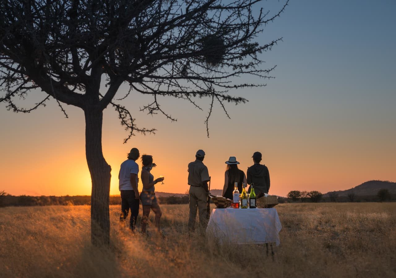 Little ongava sundower drinks in the bush 1280