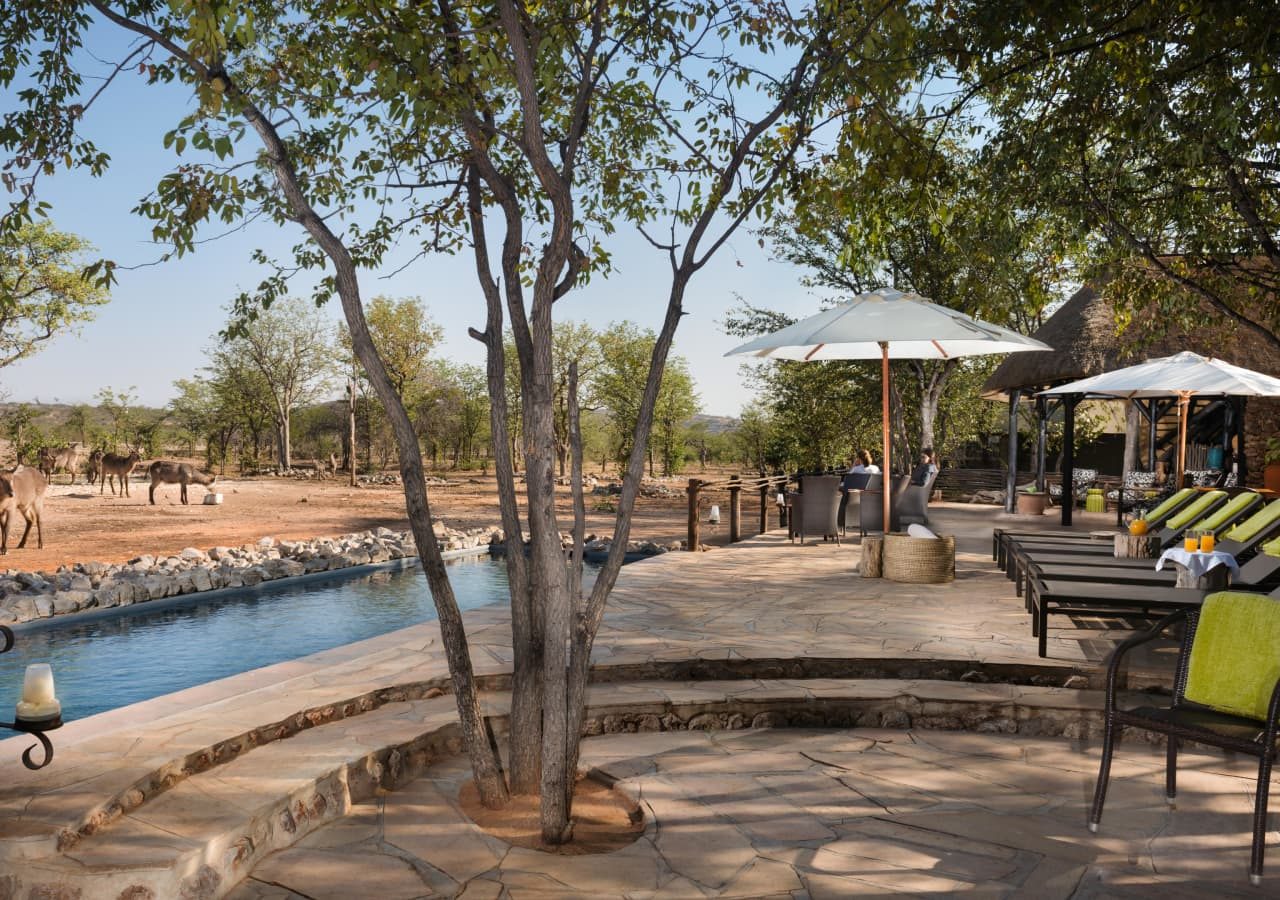 Ongava tented camp swimming pool and lounge area 1280